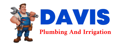 Trusted plumber in LOSTINE